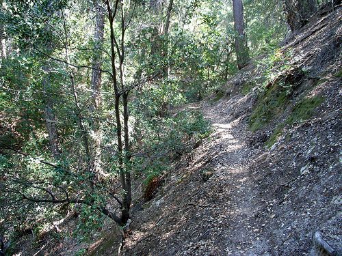 Devore trail clearance camp