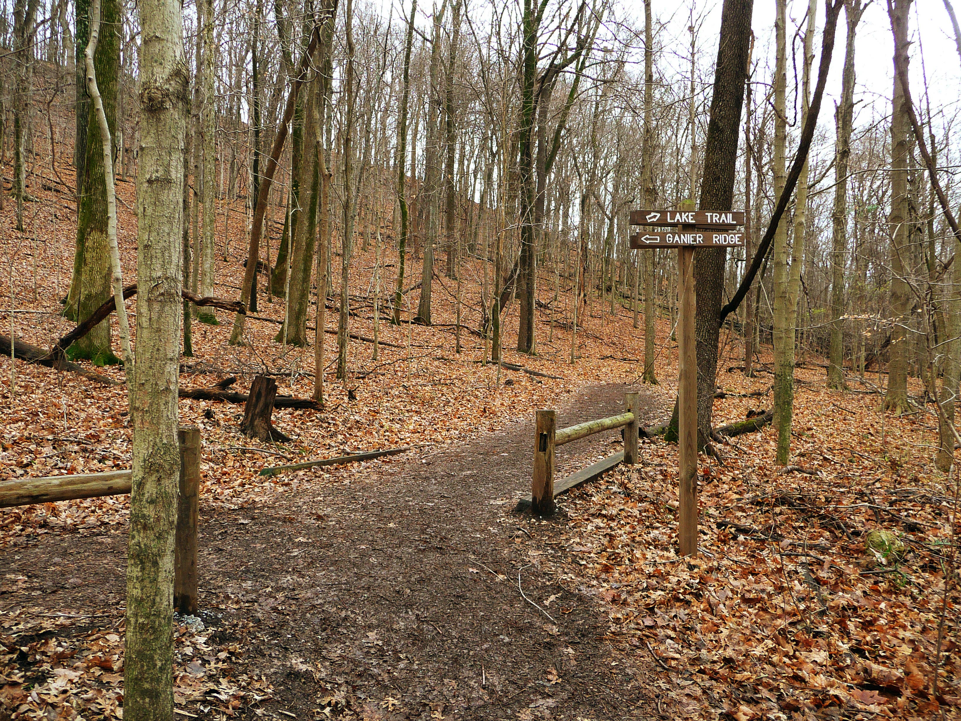 Ganier Ridge Trail None