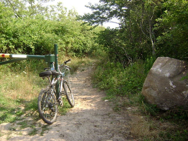 Gate None
