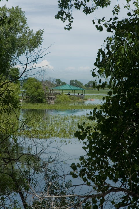 Gazebo None