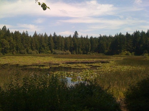gazzam lake None