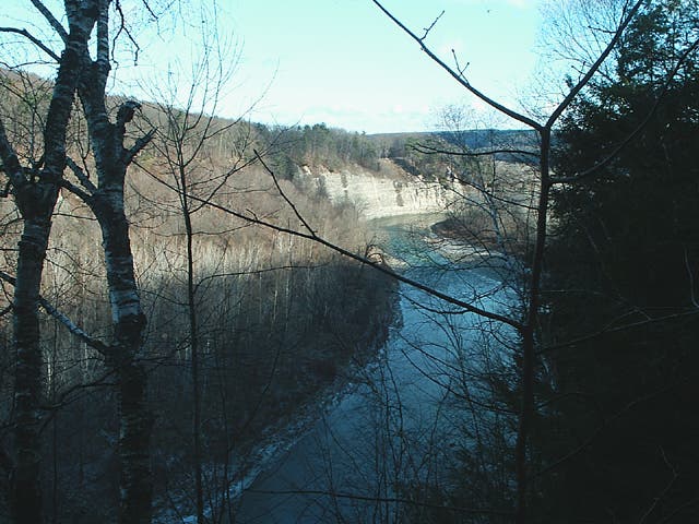 Genesse River Gorge None
