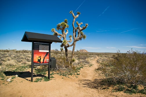 Geology Tour Road trailhead None