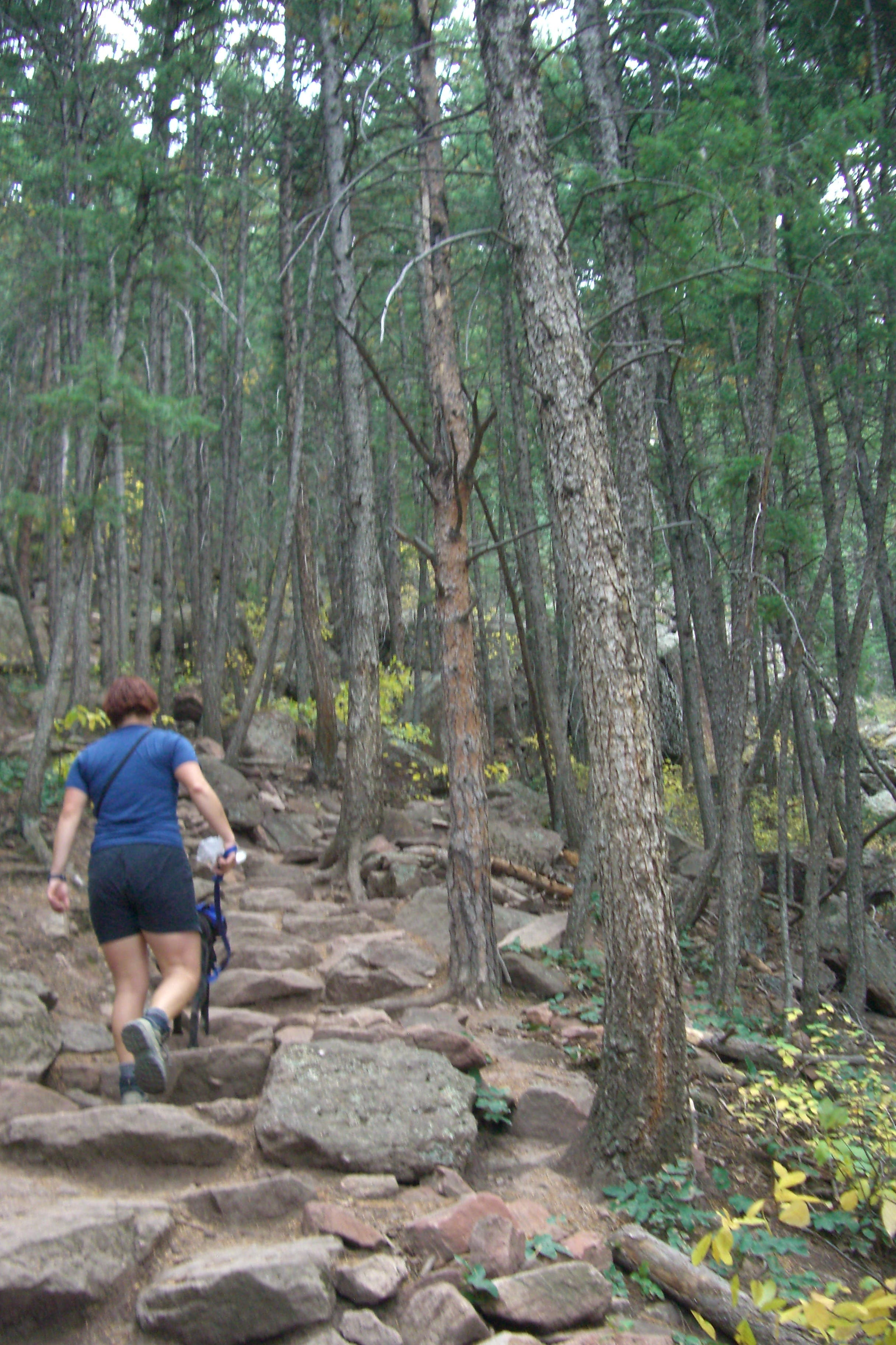 Get to Steppin' None