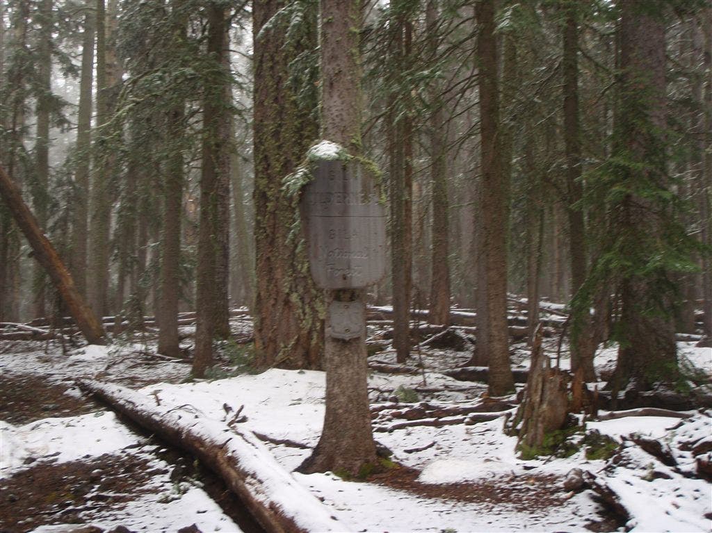 Gila Wilderness Boundary None