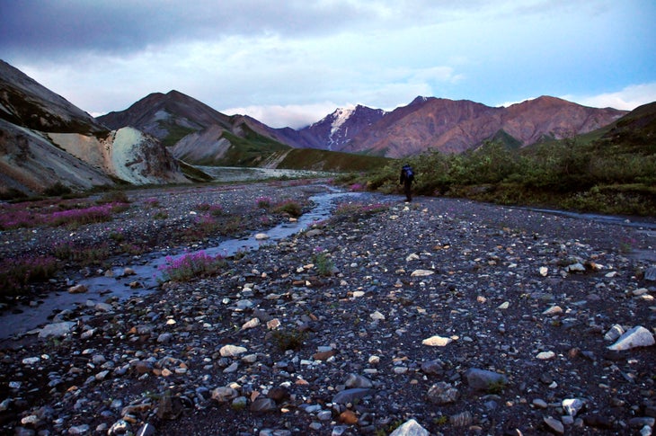 Glacier Creek None