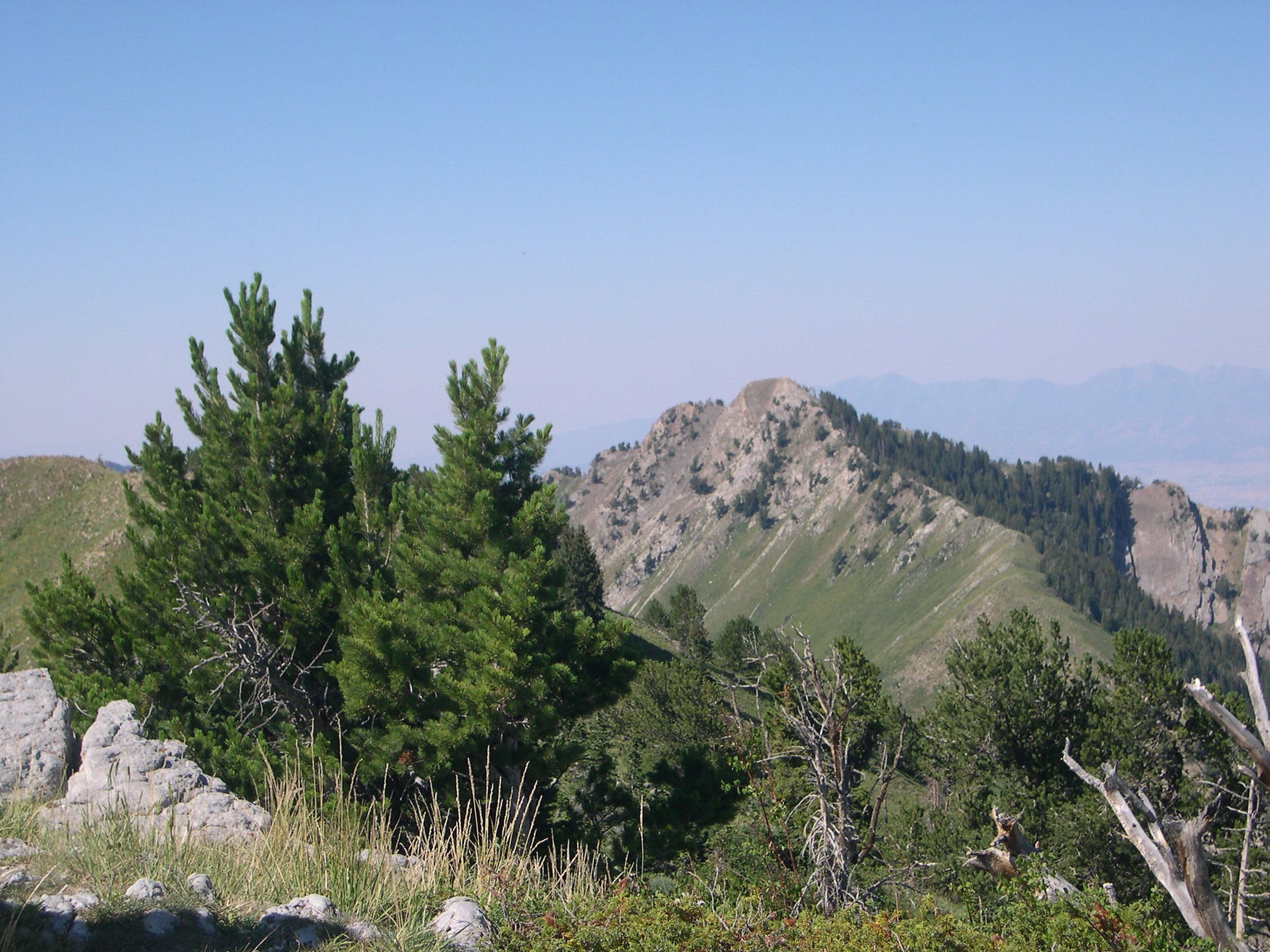 Gobblers Knob From Mt. Raymond None