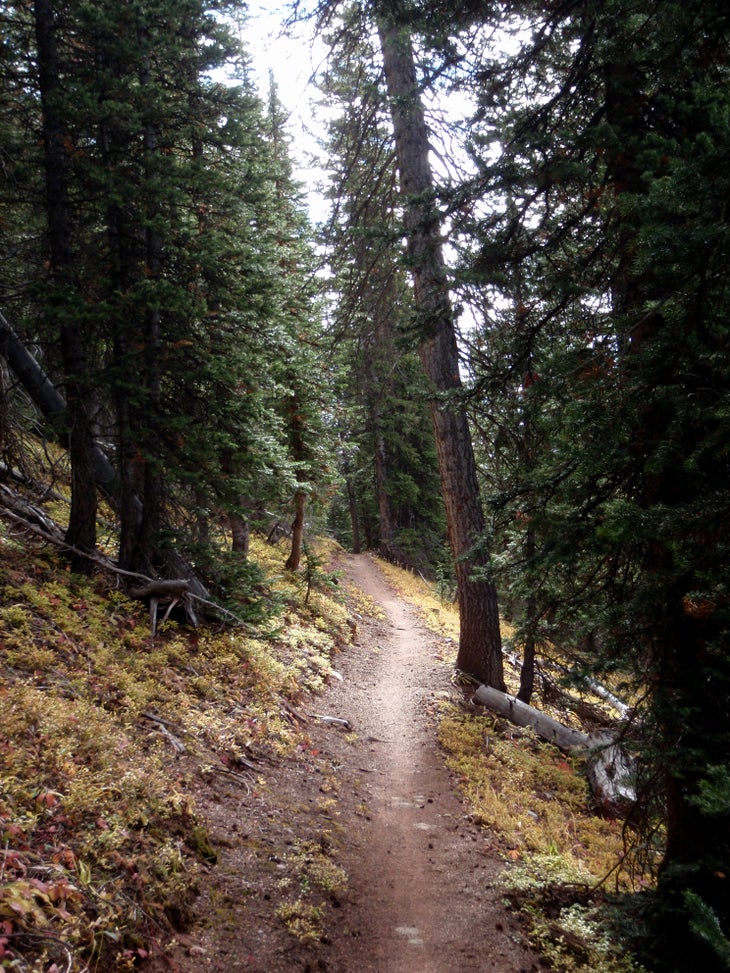 Colorado Trail: Stony Pass to Celebration Lake