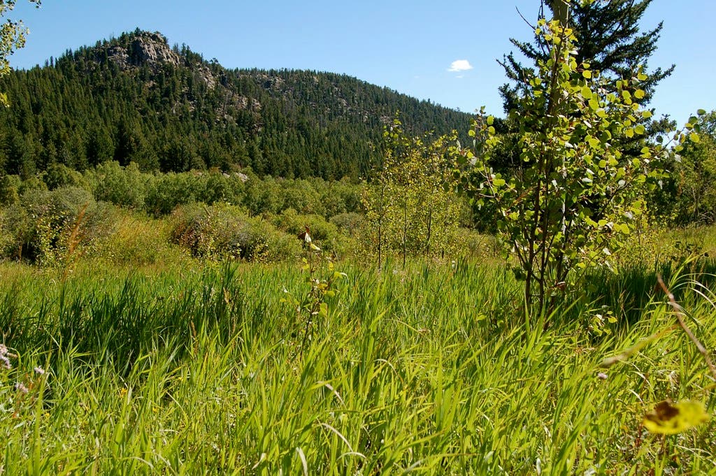 golden gate canyon None