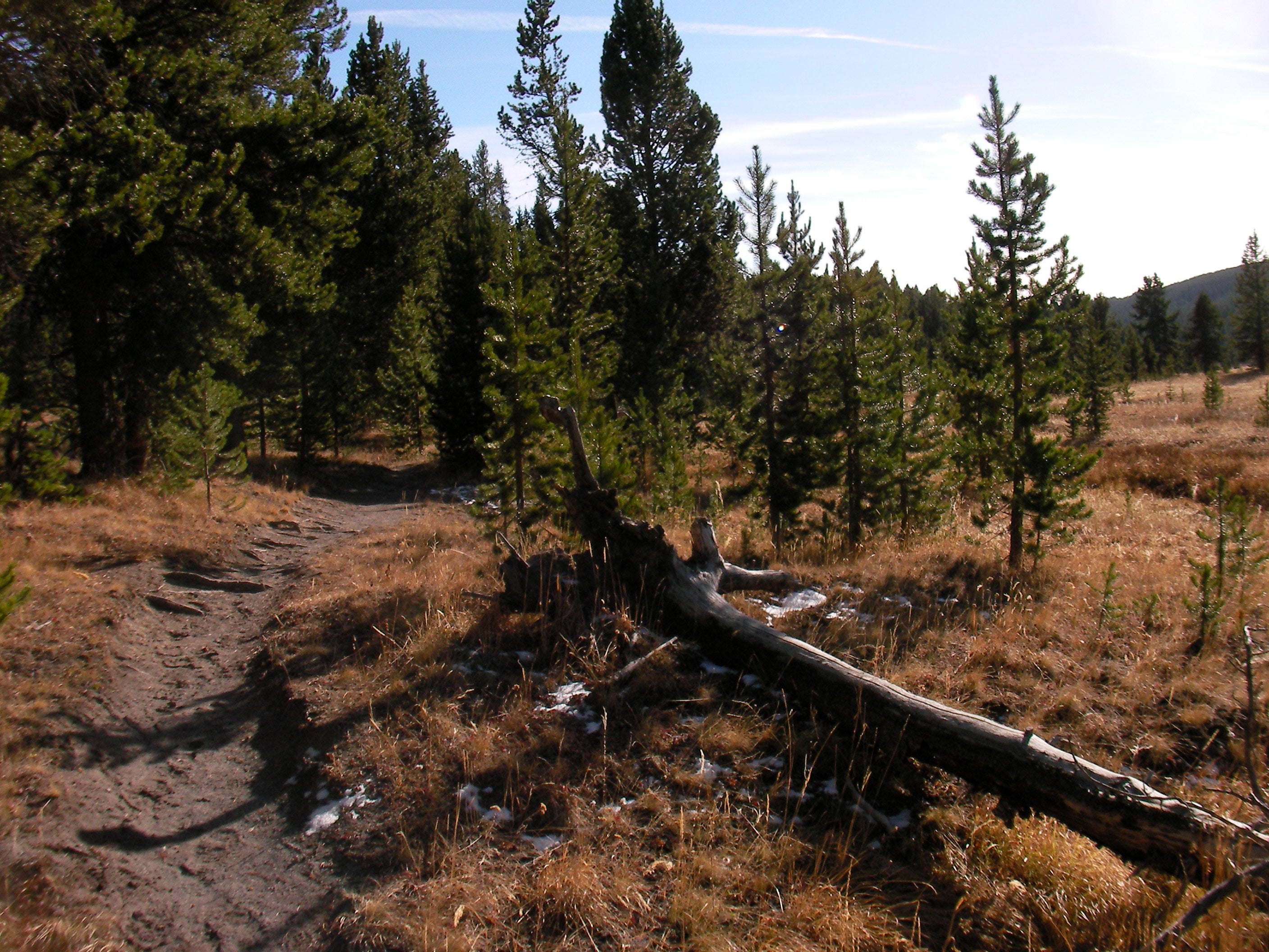 Delacy creek outlet trail yellowstone