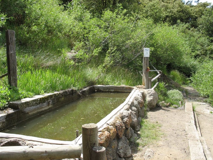 Golden Oak Springs None