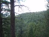 Good trail None