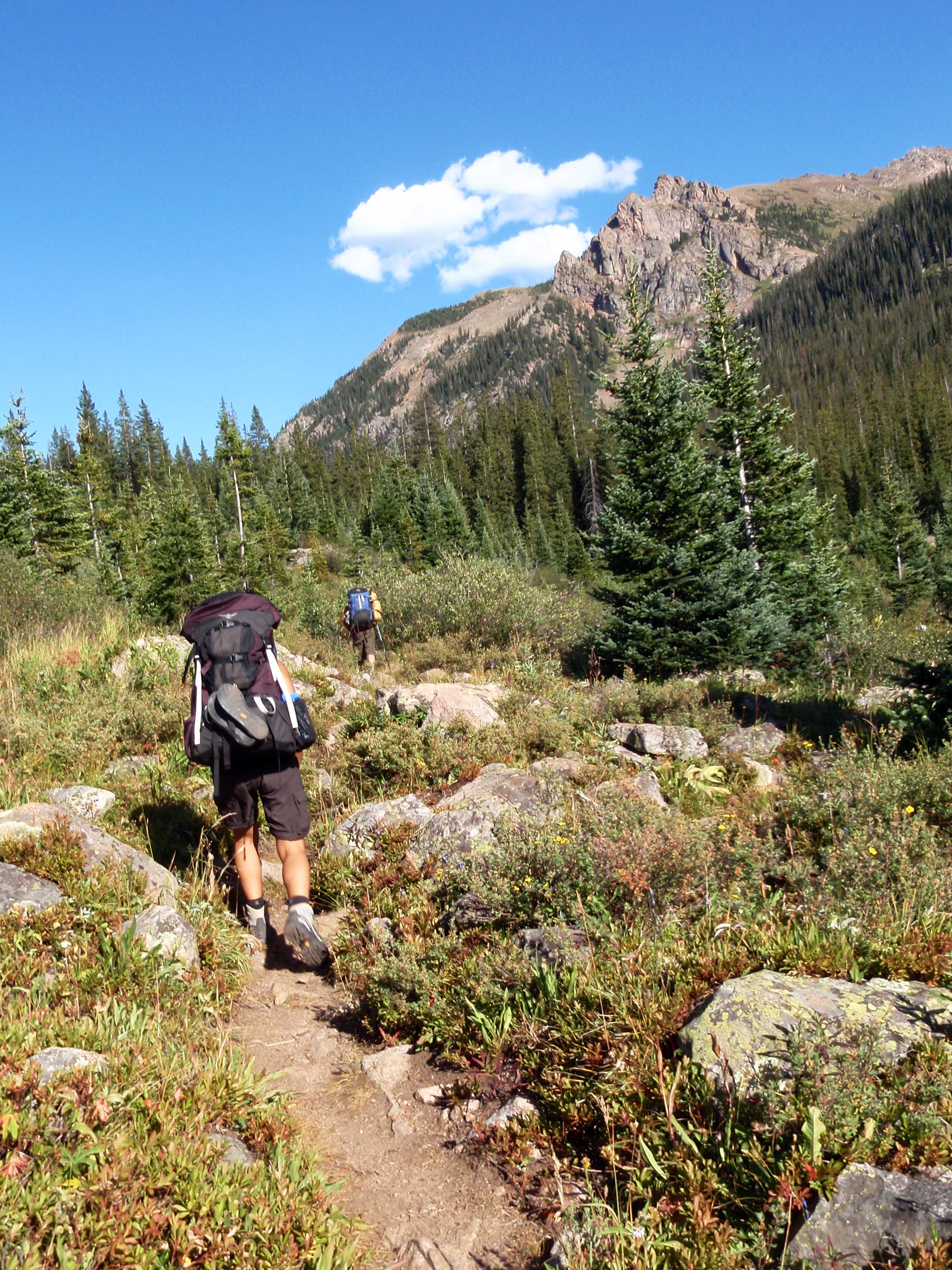 Gore Creek Trail None