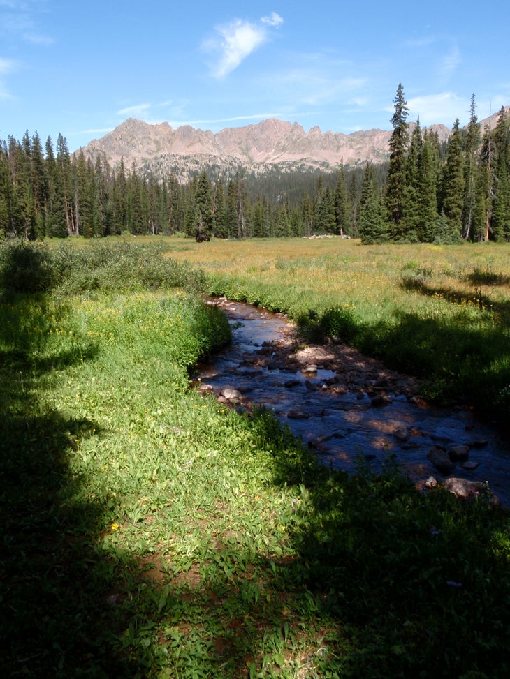 Gore Creek None