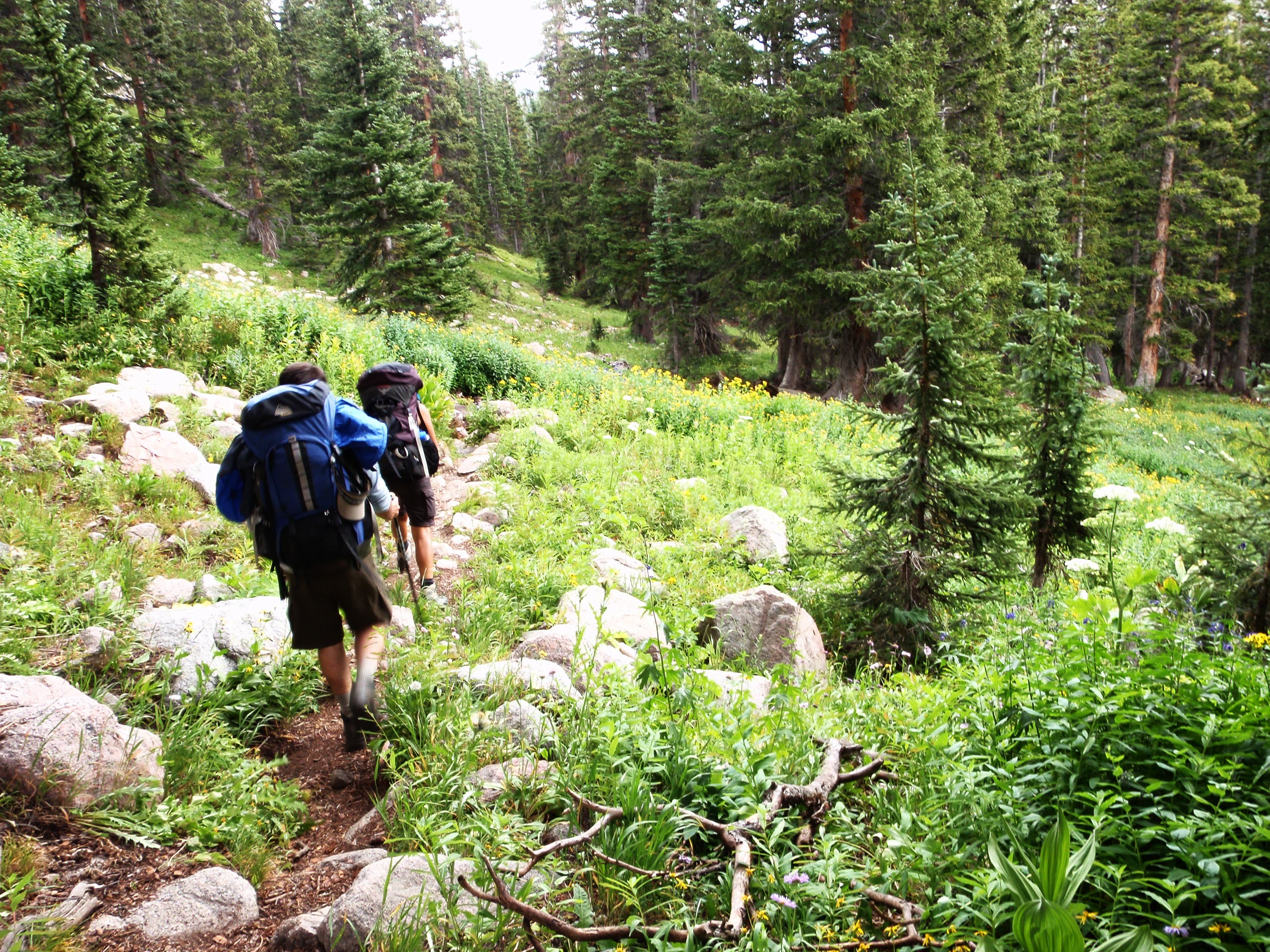 Gore Range Trail None