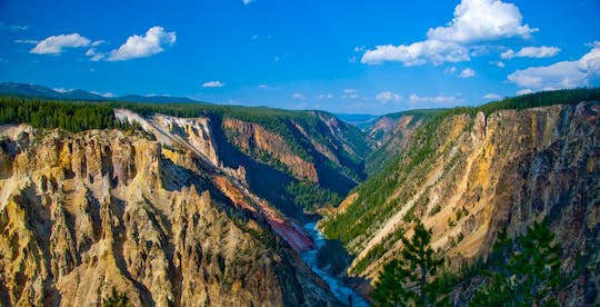 Grand Canyon of Yellowstone None