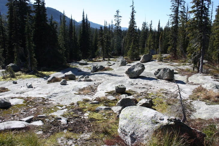 Granite Slabs None