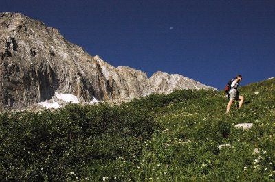 Grassy Ascent None