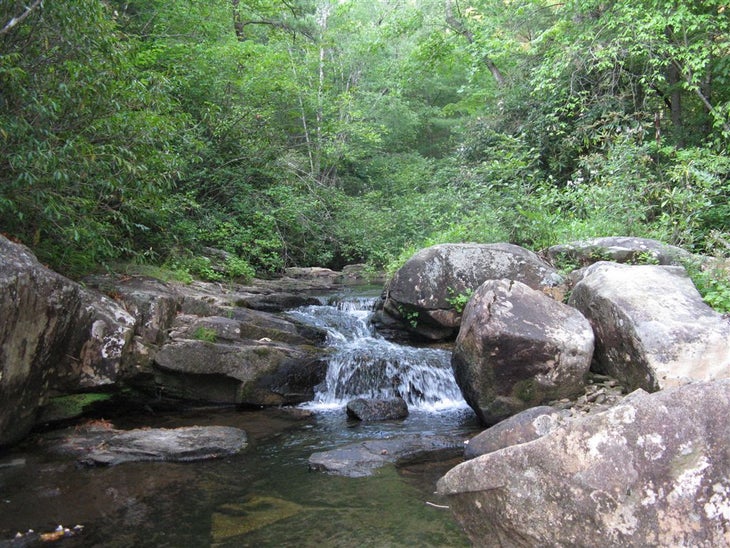 Grassy Creek None