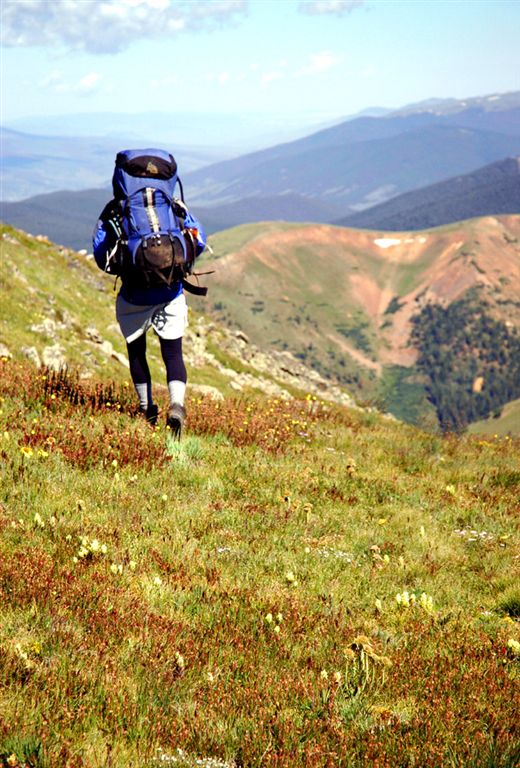 Grassy Descent None