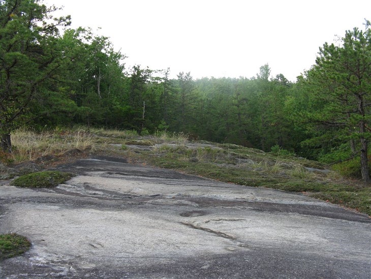 Grassy Granite None
