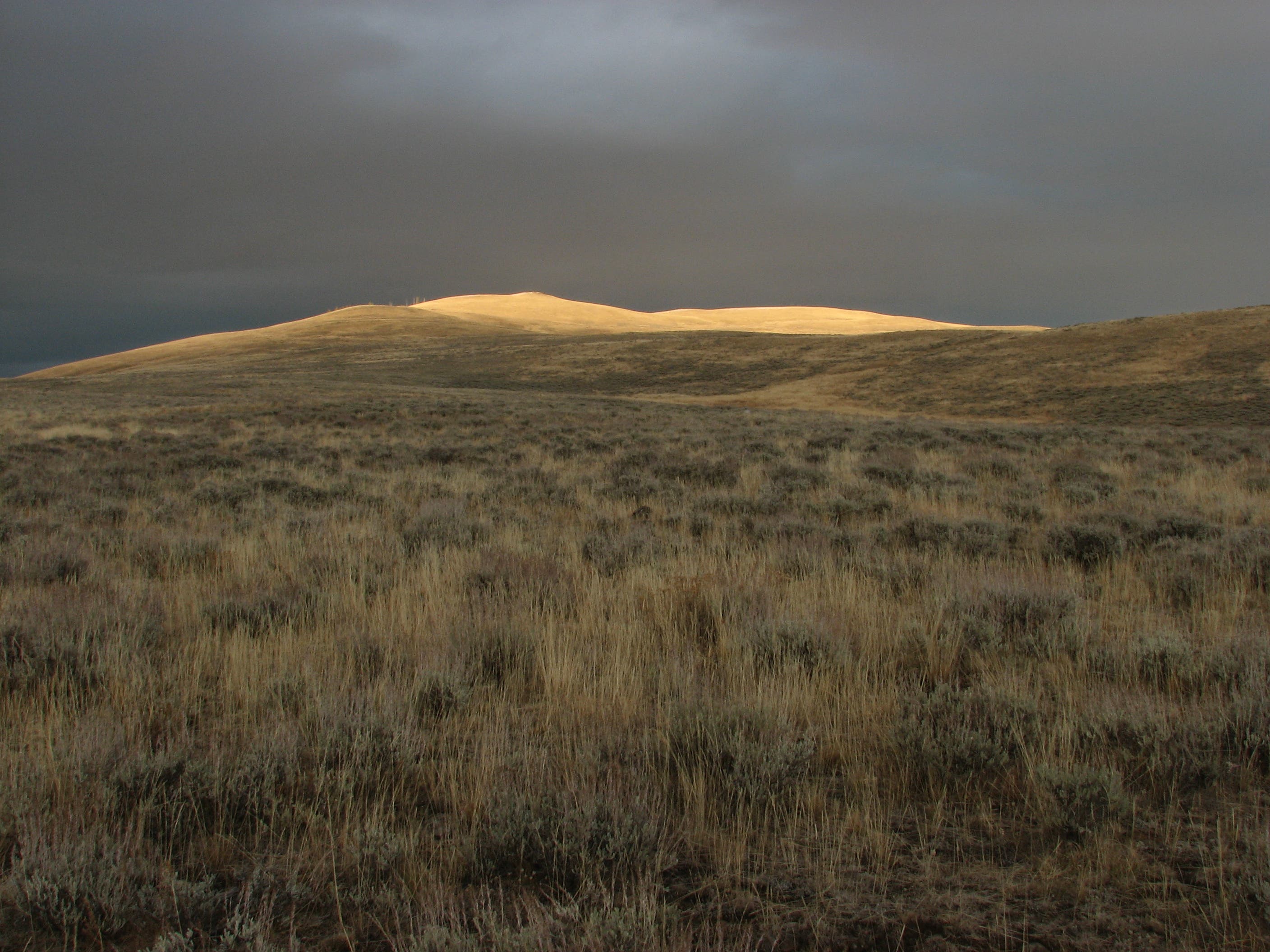 Grassy Hillsides None