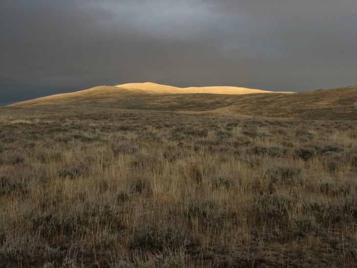 Grassy Hillsides None