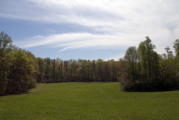 Grassy Meadow None