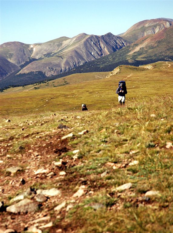 Grassy Ridge None