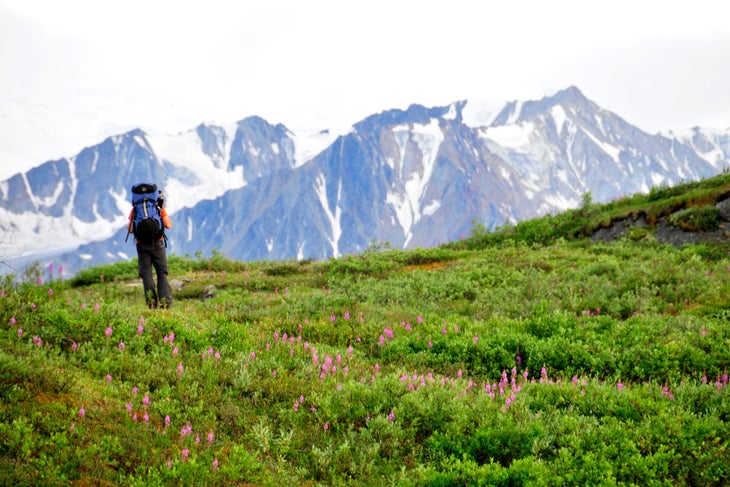 Grassy Ridge None
