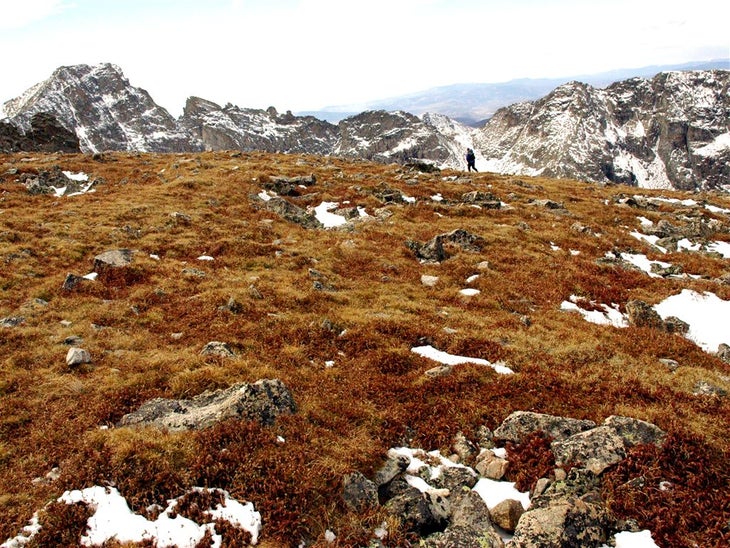 Grassy Ridge None