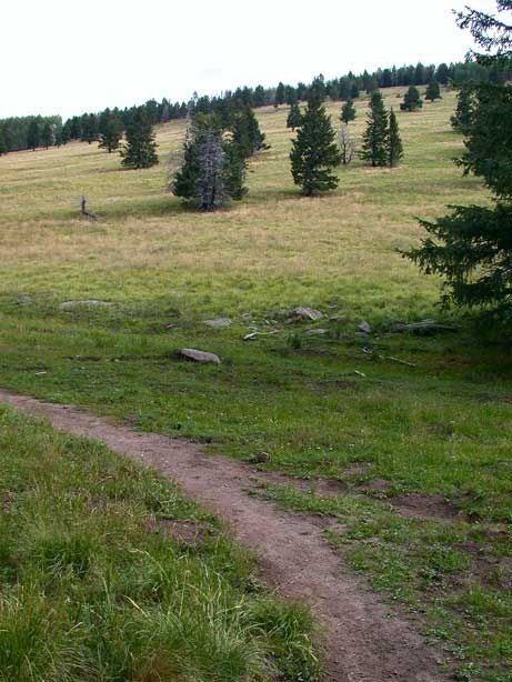 Grassy Slope None