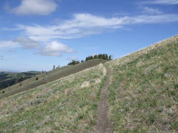 Grassy Slopes None