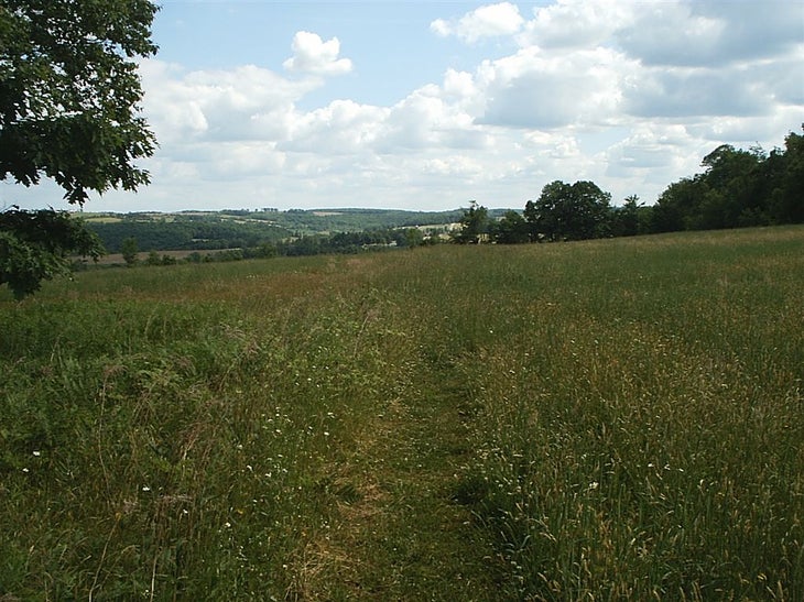 Grassy Trail None