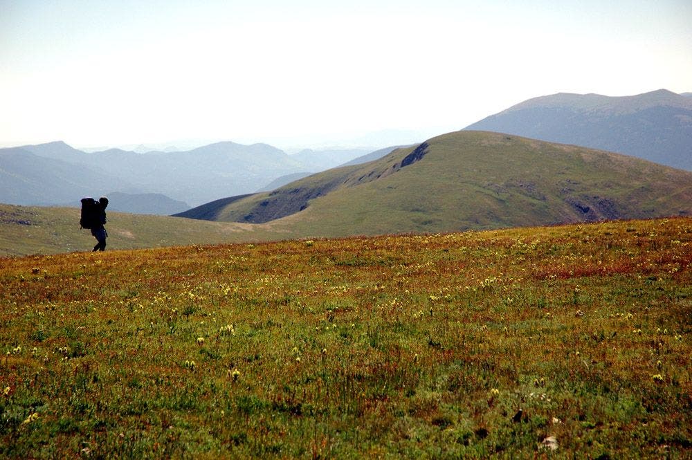 Grassy Traverse None