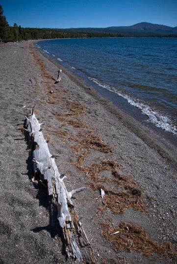 Gravel Beaches None