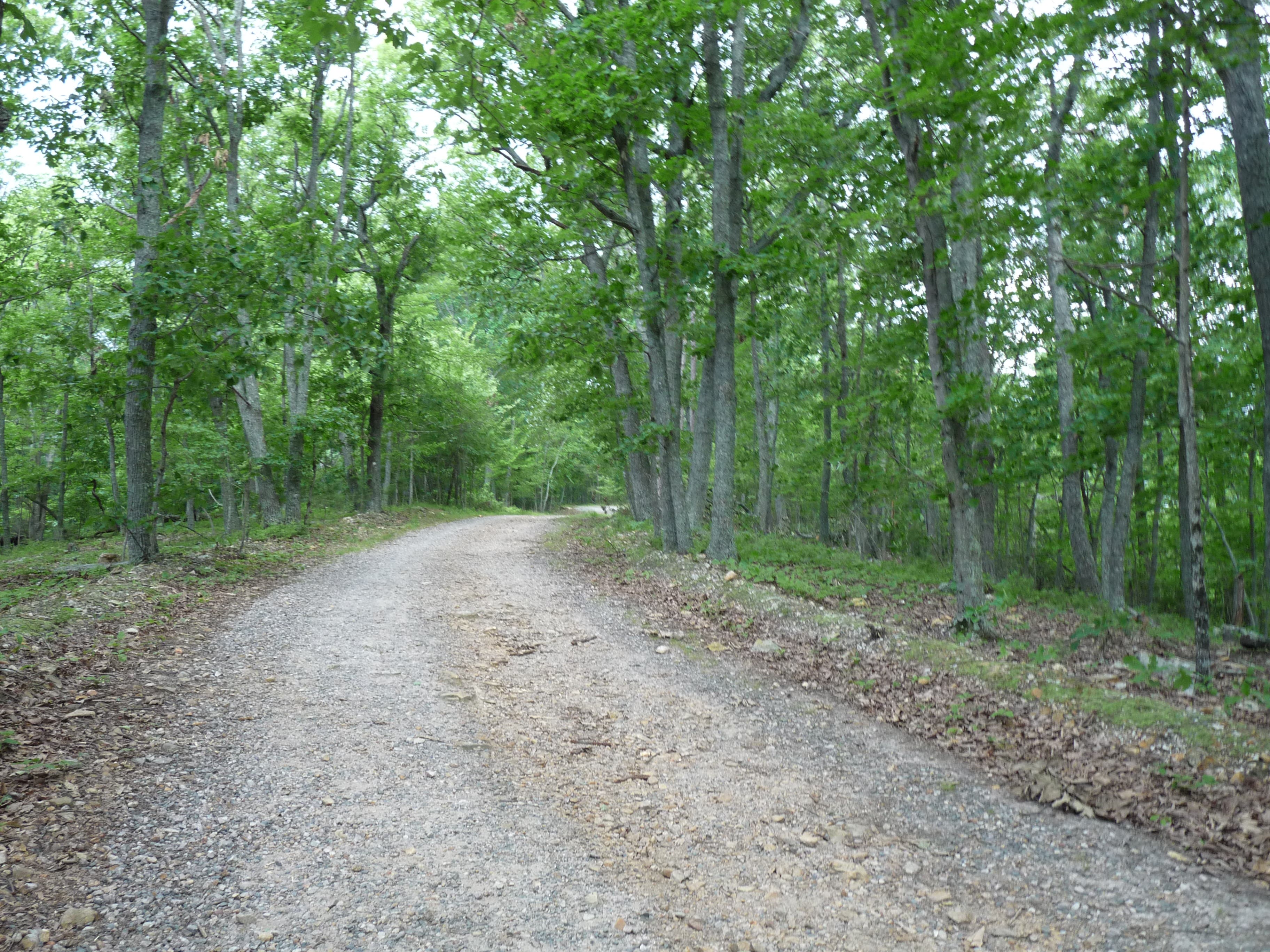 Gravel path to summit None