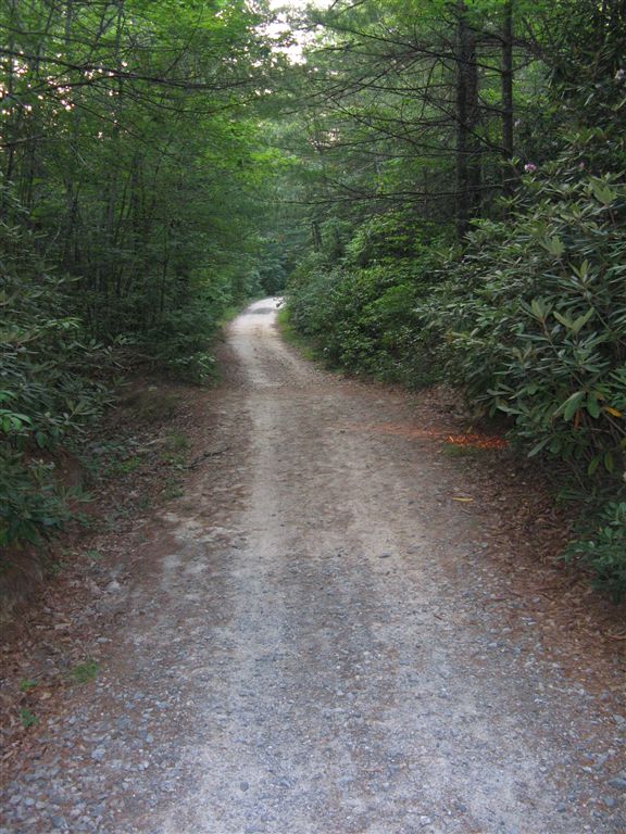 Gravel Trail None
