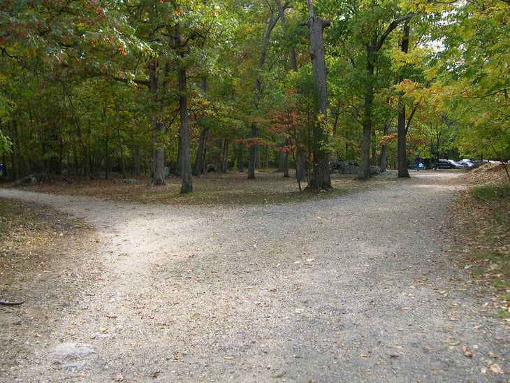 Great Falls Park None