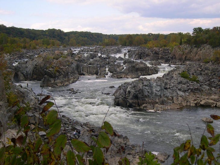 Great Falls, VA None