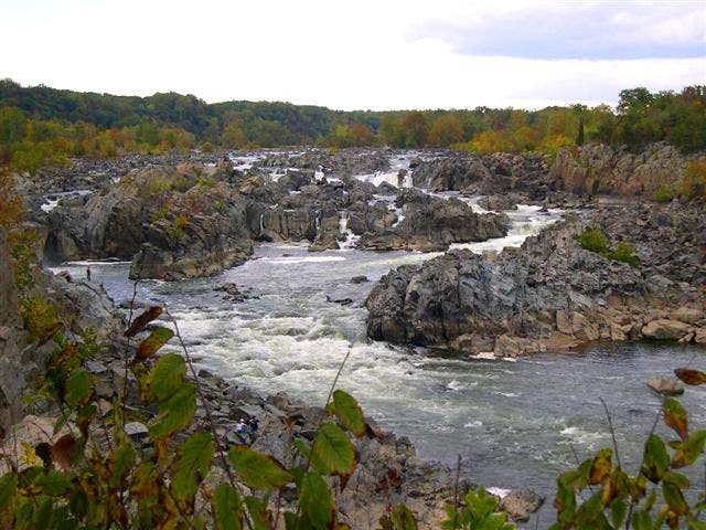 Great Falls None
