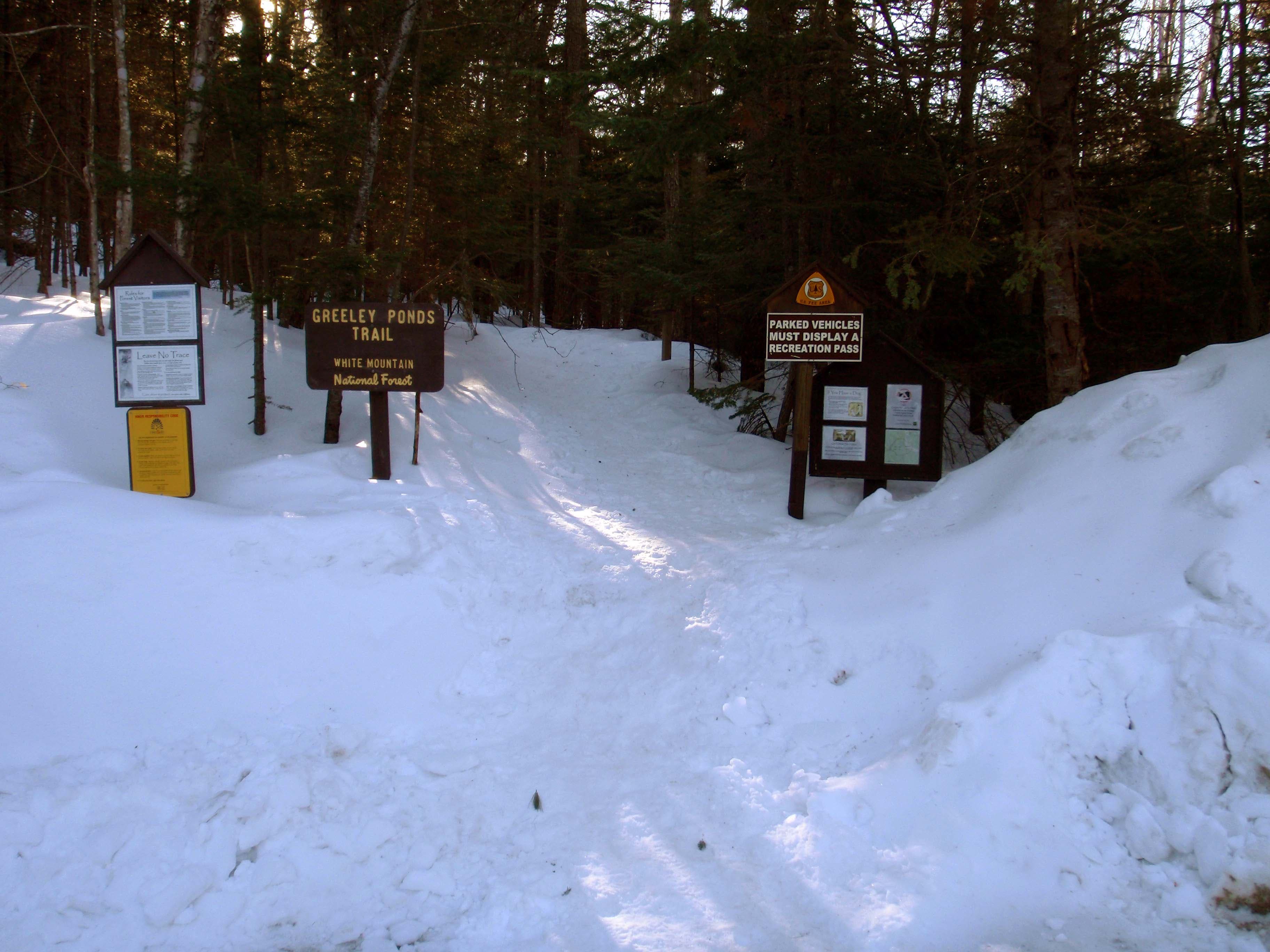 Greely Ponds Trailhead None