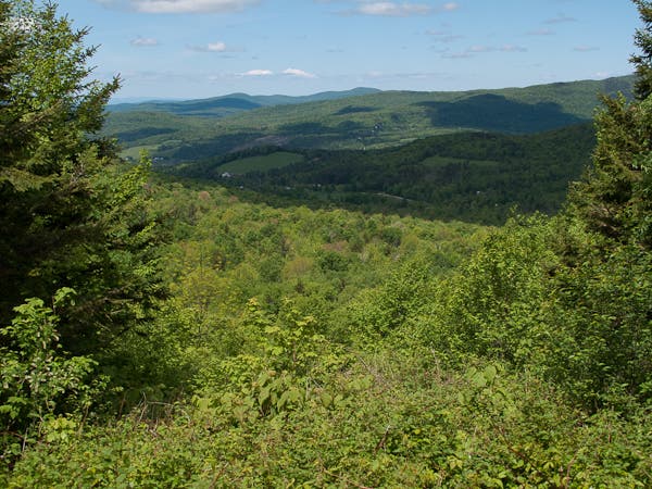 Green Mountain Vista None