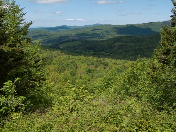 Green Mountain Vista None