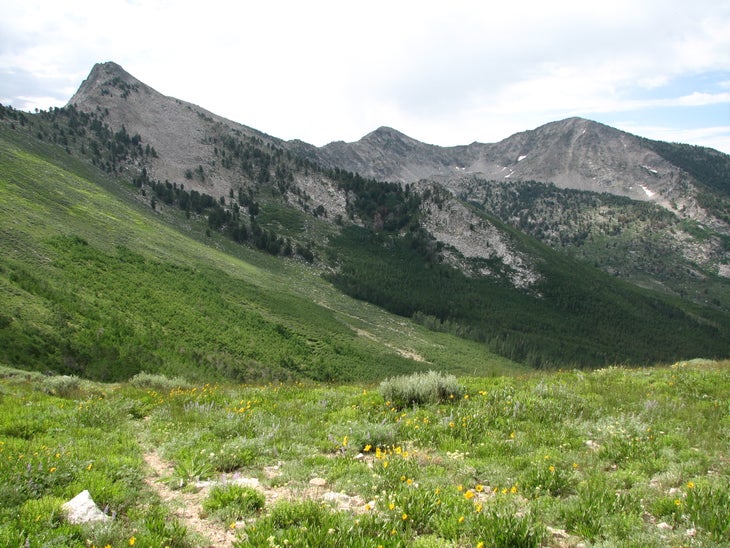 Green Mountain None