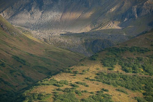 Green patchwork None