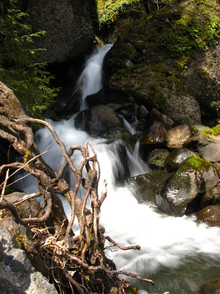 Greenleaf Falls None