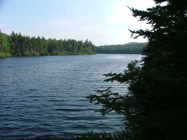 Griffith Lake None