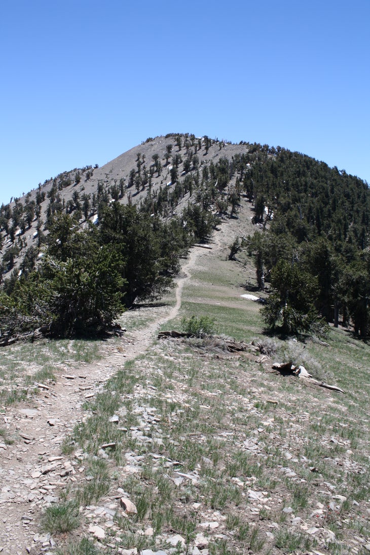 Griffith Peak None