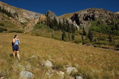 Grizzly Gulch None